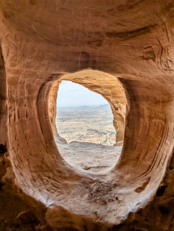 gray concrete road between green trees during daytime