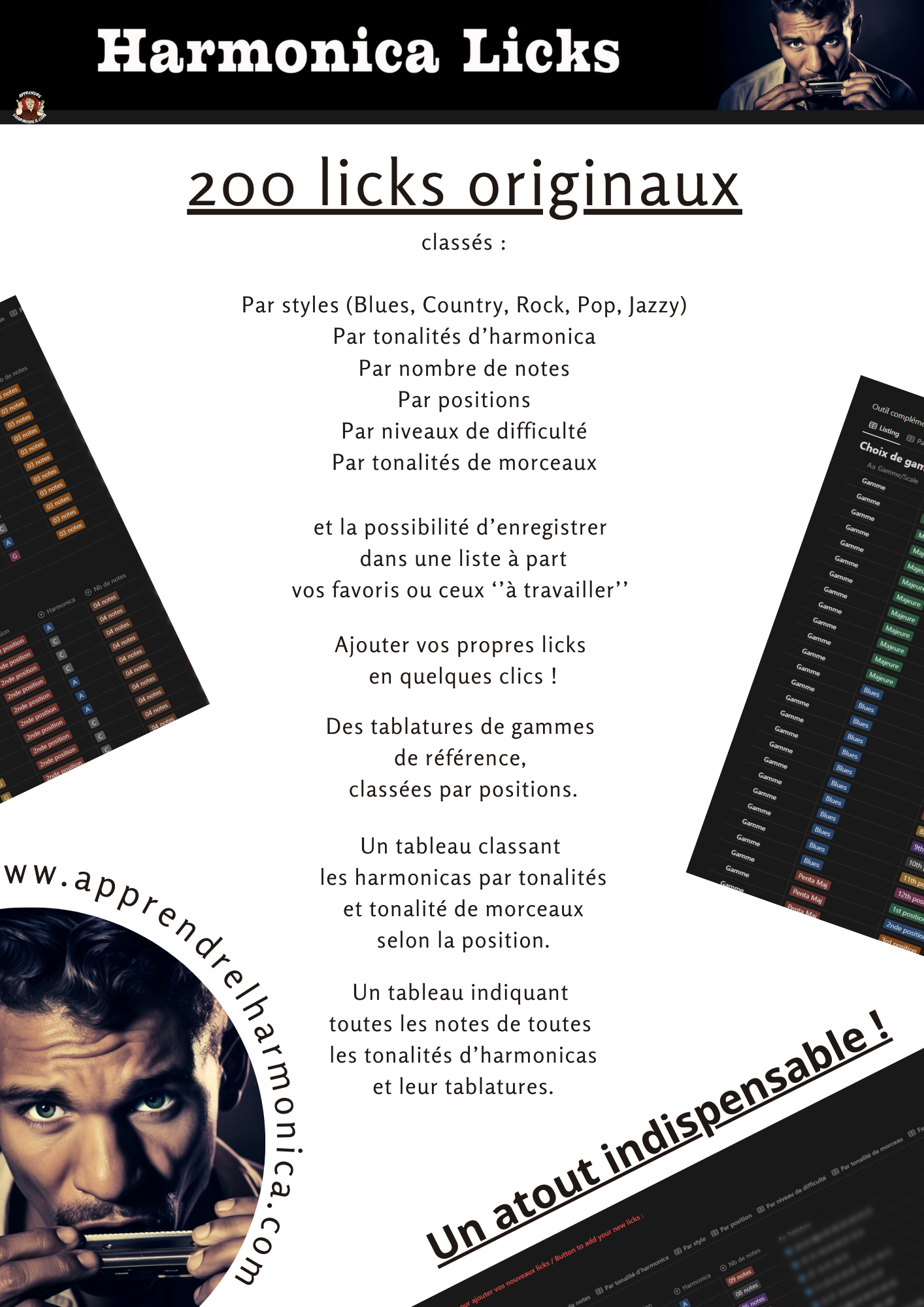 Template Notion 200 Harmonica Licks via Payfacile