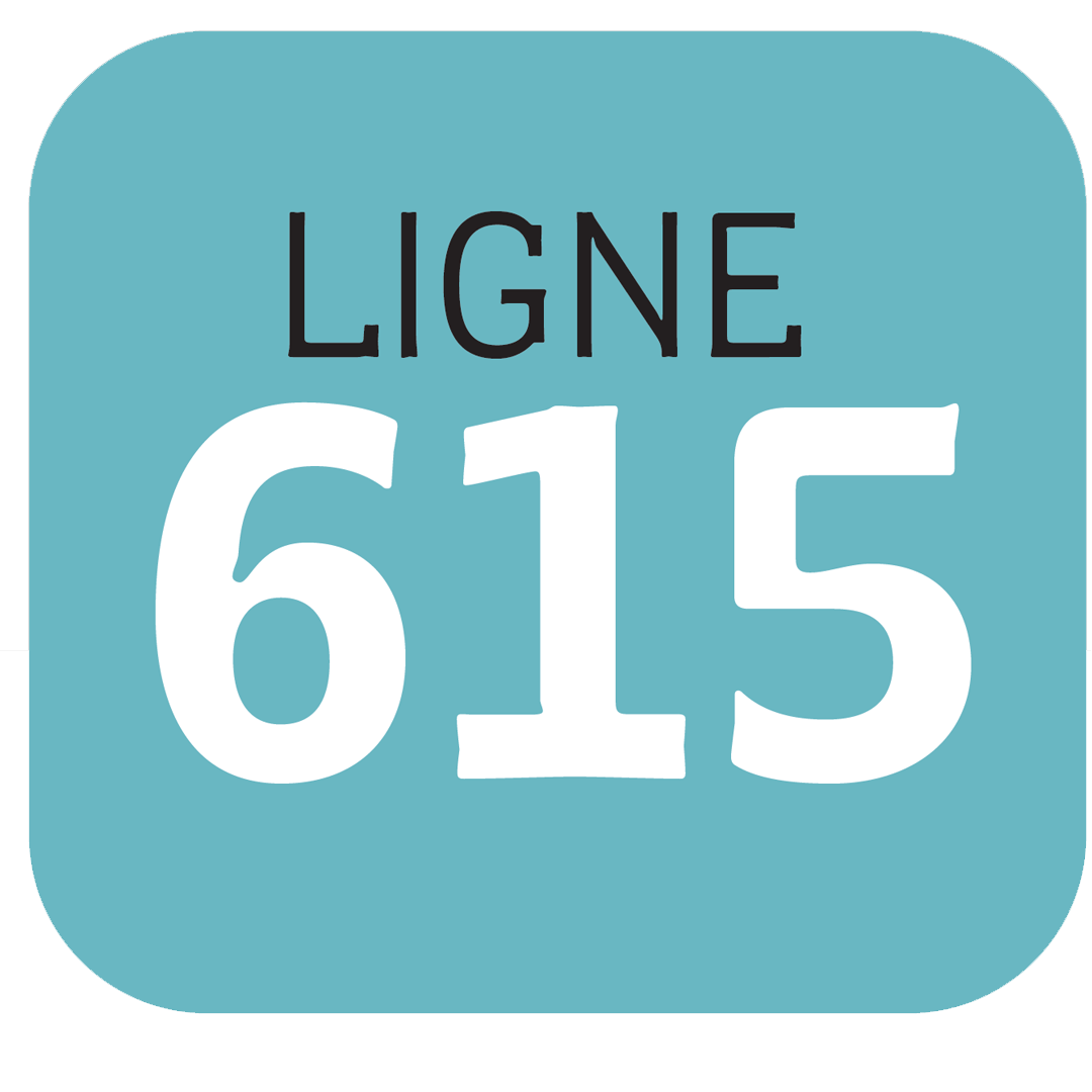 Interface Conviviale